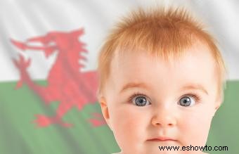Lista de 222 nombres galeses para bebés