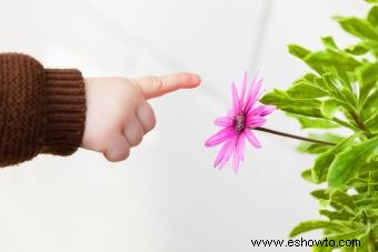 Nombres únicos inspirados en flores para niñas