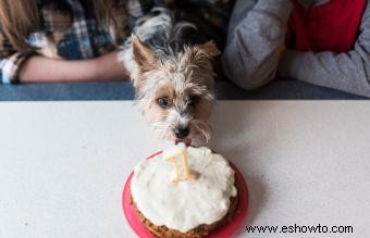 20 ideas de Smash Cake para un primer cumpleaños inolvidable