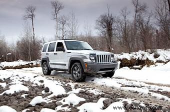 Cubiertas de asiento de piel de oveja para Jeep Liberty