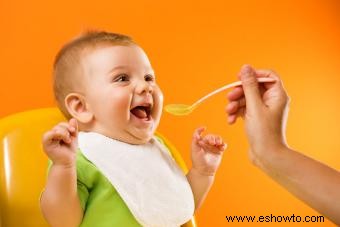Las mejores opciones de alimentos orgánicos para bebés