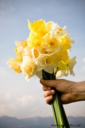 Flores y plantas para recaudar fondos