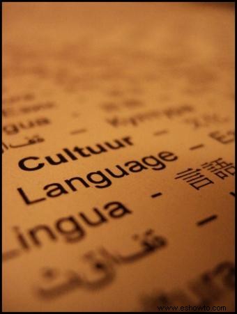 Cursos acreditados de idiomas extranjeros de nivel universitario en línea