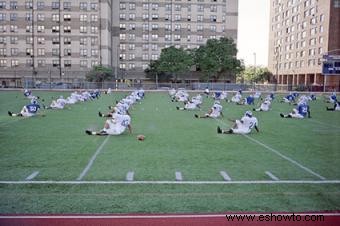 Comprender las divisiones deportivas universitarias