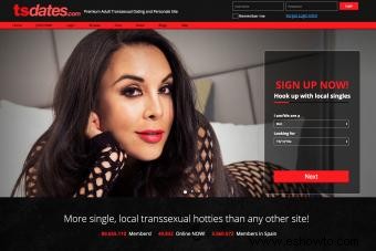 6 principales sitios de contactos personales transgénero
