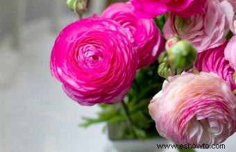 12 flores románticas que representan maravillosamente el amor