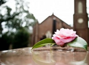 50 Citas, Oraciones y Mensajes Conmovedores para el Aniversario del Fallecimiento de tu Madre Amorosa
