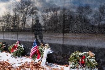 Vietnam Vets Memorial Hechos, Controversia y Futuro