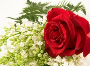 Flores fúnebres económicas que son pensativas y hermosas