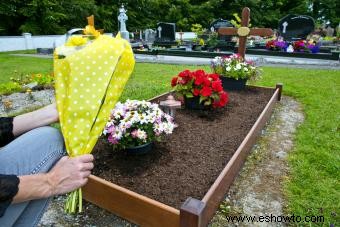 Reglas y reglamentos para entierros ecológicos