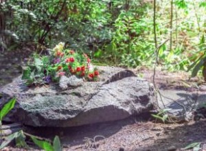 Mejores Sitios de Entierro Verde en Estados Unidos: Opciones Ecológicas Certificadas