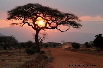 Rituales de la muerte en África