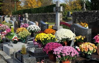 Flores que representan la muerte en diferentes culturas