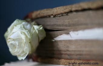 Flores que representan la muerte en diferentes culturas