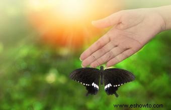 Importancia de las mariposas en asociación con la muerte 
