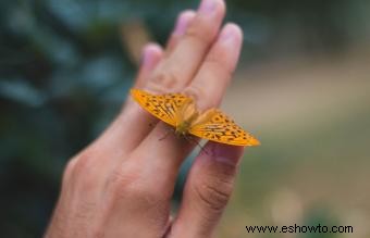 Importancia de las mariposas en asociación con la muerte 