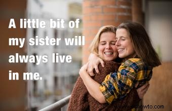 Frases sobre la pérdida de una hermana para hermosos elogios