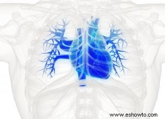 Insuficiencia cardíaca congestiva:etapas de la muerte y qué esperar