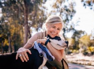 11 Poemas Conmovedores sobre la Pérdida de Mascotas: Consuelo para Dueños en Duelo