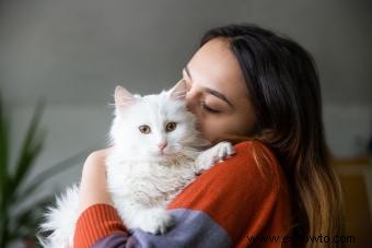 11 poemas sobre la pérdida de mascotas para consolar a un dueño en duelo