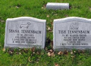 6 pasos esenciales para iniciar un negocio de cementerio de mascotas
