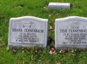 Cómo Explicar la Pérdida de una Mascota a los Niños de Forma Sensible y Efectiva