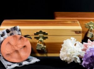 Ataúdes Económicos para Mascotas: Opciones Asequibles desde Cartón hasta Madera