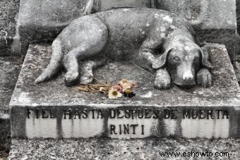 Lápidas de mascotas y lápidas para conmemorarlas