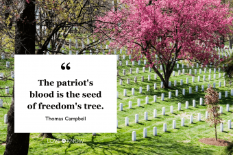 30 citas del Día de los Caídos para rendir homenaje a los soldados estadounidenses