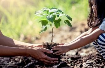 10 poemas del árbol conmemorativo para mantener vivos los recuerdos