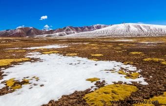 30 datos sobre la tundra para niños 