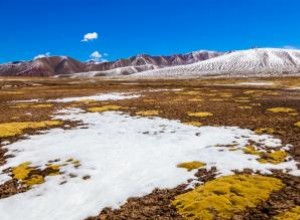 30 Datos Fascinantes sobre la Tundra para Niños: ¡Explora este Bioma Extremo!