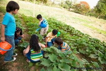 Datos y actividades agrícolas para niños 