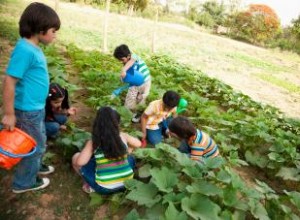 Datos y actividades agrícolas para niños 