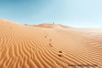 Datos sobre el desierto para niños