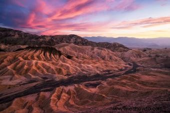 Datos sobre el desierto para niños