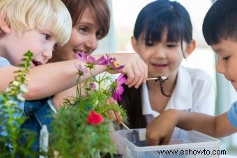 Temas de jardín para niños en edad preescolar