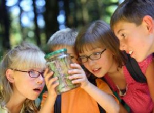 Alternativas económicas al campamento de verano