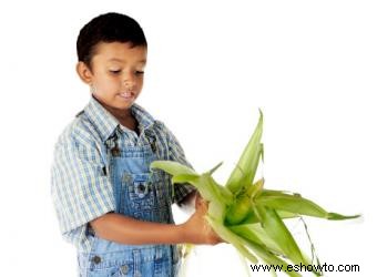 Actividades del festival de la cosecha para niños en edad preescolar