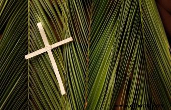 Domingo de Ramos por los Niños