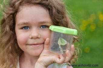 Actividades de primavera para niños