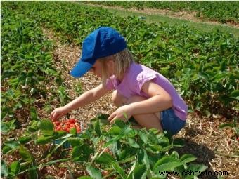 Actividades de verano para niños que son fáciles y económicas