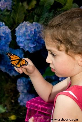 Actividades de verano para niños que son fáciles y económicas