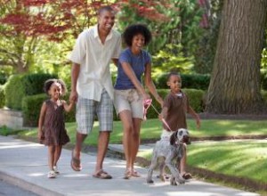 Guía Completa para Crear tu Lista de Valores Familiares: Tipos, Ejemplos y Consejos