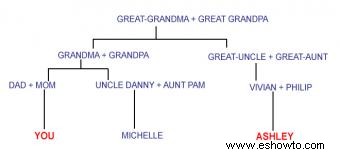 ¿Qué son los primos primeros y segundos? Explicación de los árboles genealógicos