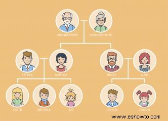 ¿Qué son los primos primeros y segundos? Explicación de los árboles genealógicos