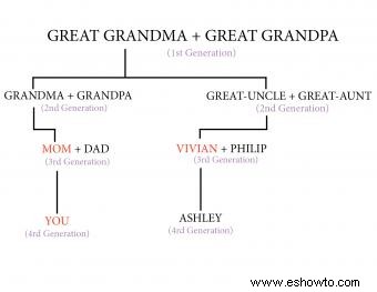 ¿Qué son los primos primeros y segundos? Explicación de los árboles genealógicos