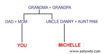 ¿Qué son los primos primeros y segundos? Explicación de los árboles genealógicos