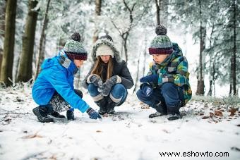 12 actividades en la nieve para ayudar a los niños a explorar la maravilla del invierno