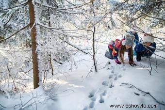 12 actividades en la nieve para ayudar a los niños a explorar la maravilla del invierno